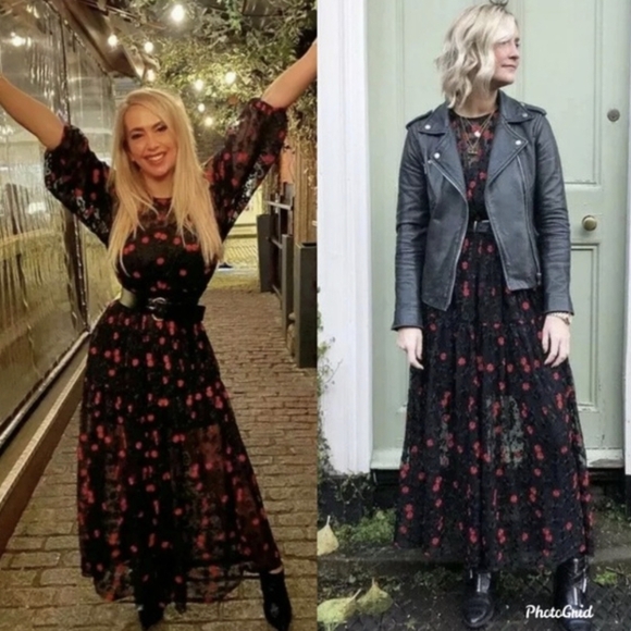 ZARA embroidered mesh maxi dress XS - Picture 1 of 16